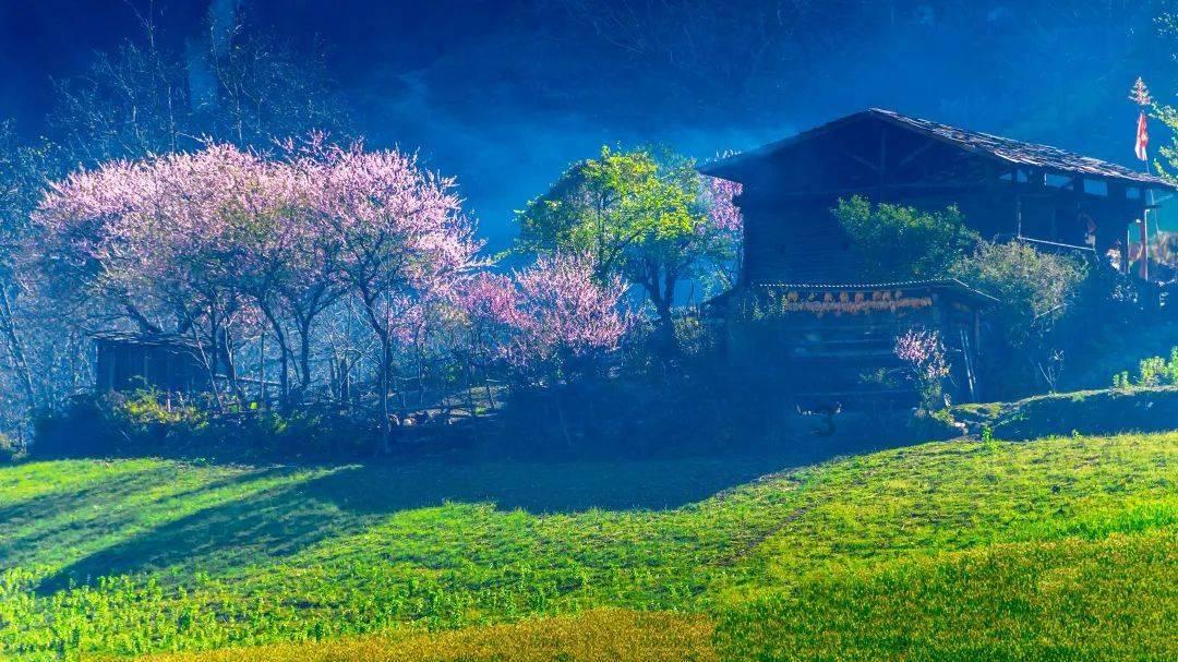 北京天使儿童医院治疗红胎记吗?- 清晰解答你的问题